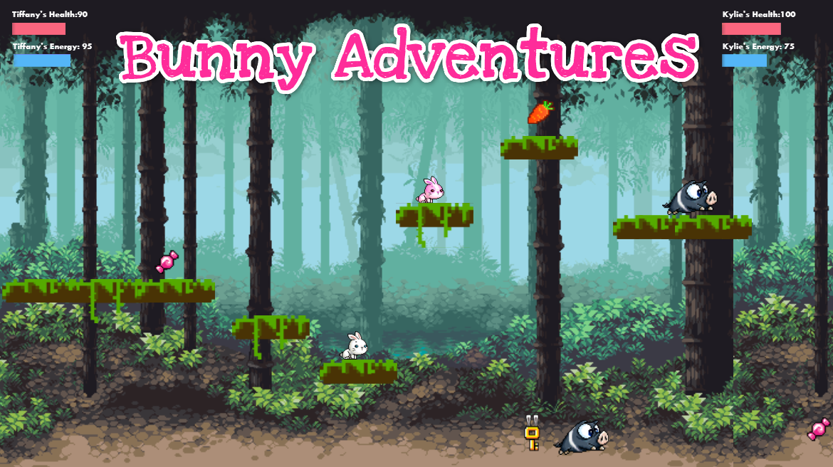 Bunny Adventures