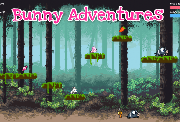 Bunny Adventures